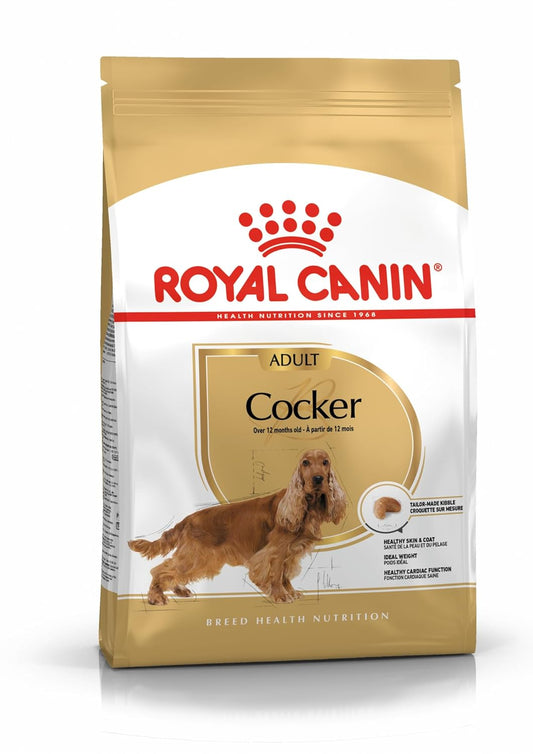 Royal Canin Dry Dog Food for Adult Cockers