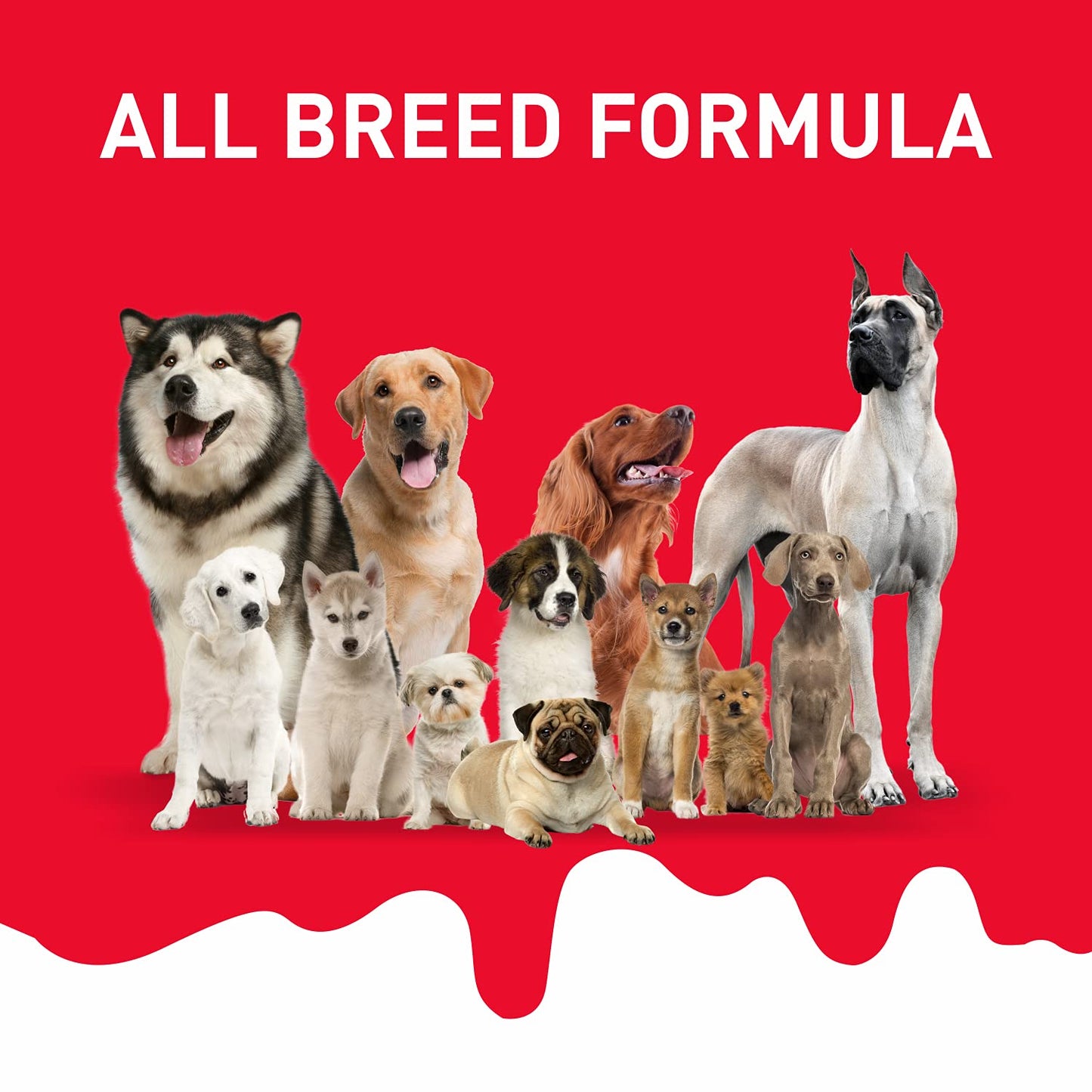 Drools Absolute Dog Bone Treats : Milk Flavour