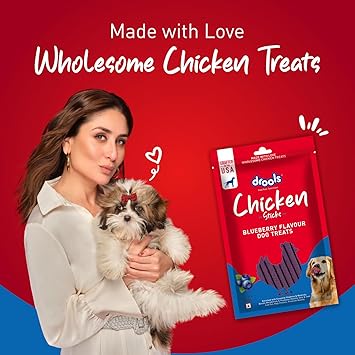 Drools Blueberry Flavour Chicken Sticks Treat for Dogs