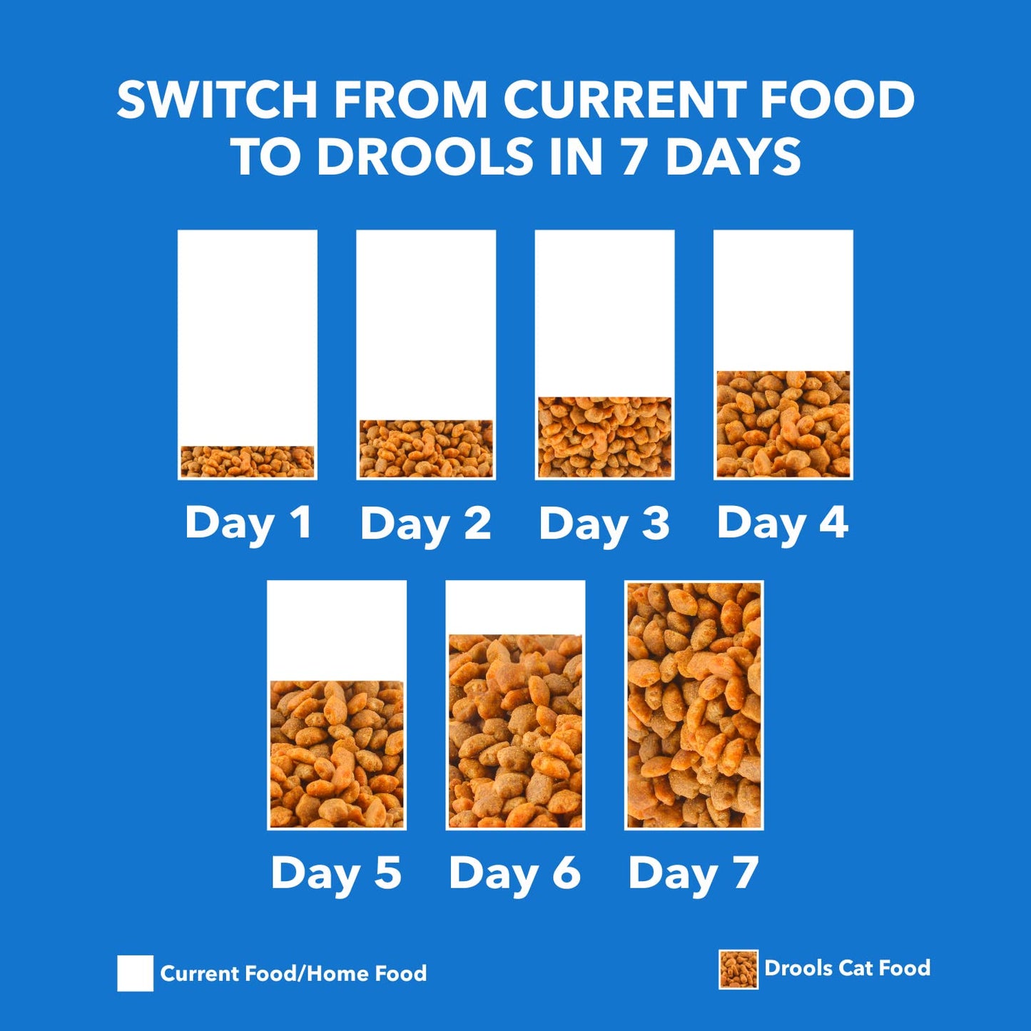 Drools Drools Mackerel Kitten Dry Food