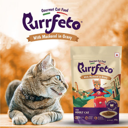 Purrfeto With Mackerel In Gravy Adult