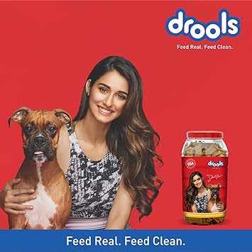 Drools Dog Treat Biscuits, Chicken and Egg Flavor Jar