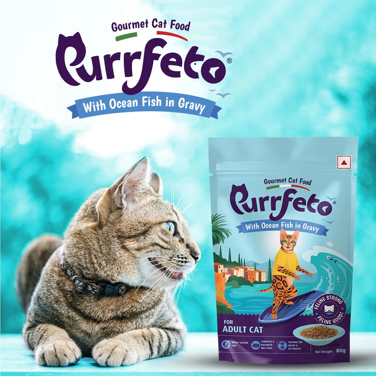 Purrfeto With Ocean Fish In Gravy Adult