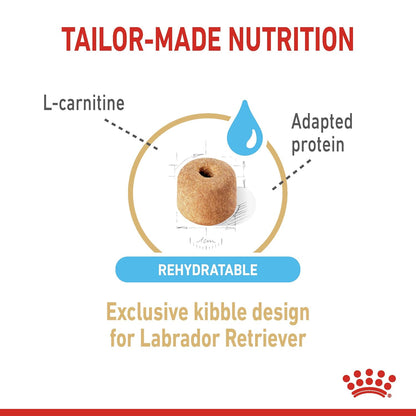 Royal Canin Labrador Retriever Adult 5+ Dry Dog Food