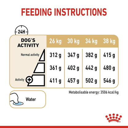 Royal Canin Labrador Retriever Adult 5+ Dry Dog Food