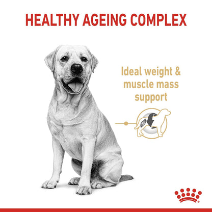 Royal Canin Labrador Retriever Adult 5+ Dry Dog Food