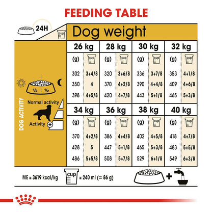 Royal Canin Golden Retriever Adult Dry Dog Food