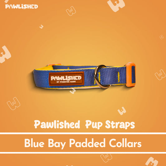 PAWLISHED Pup Straps - Blue Bay Padded Collars