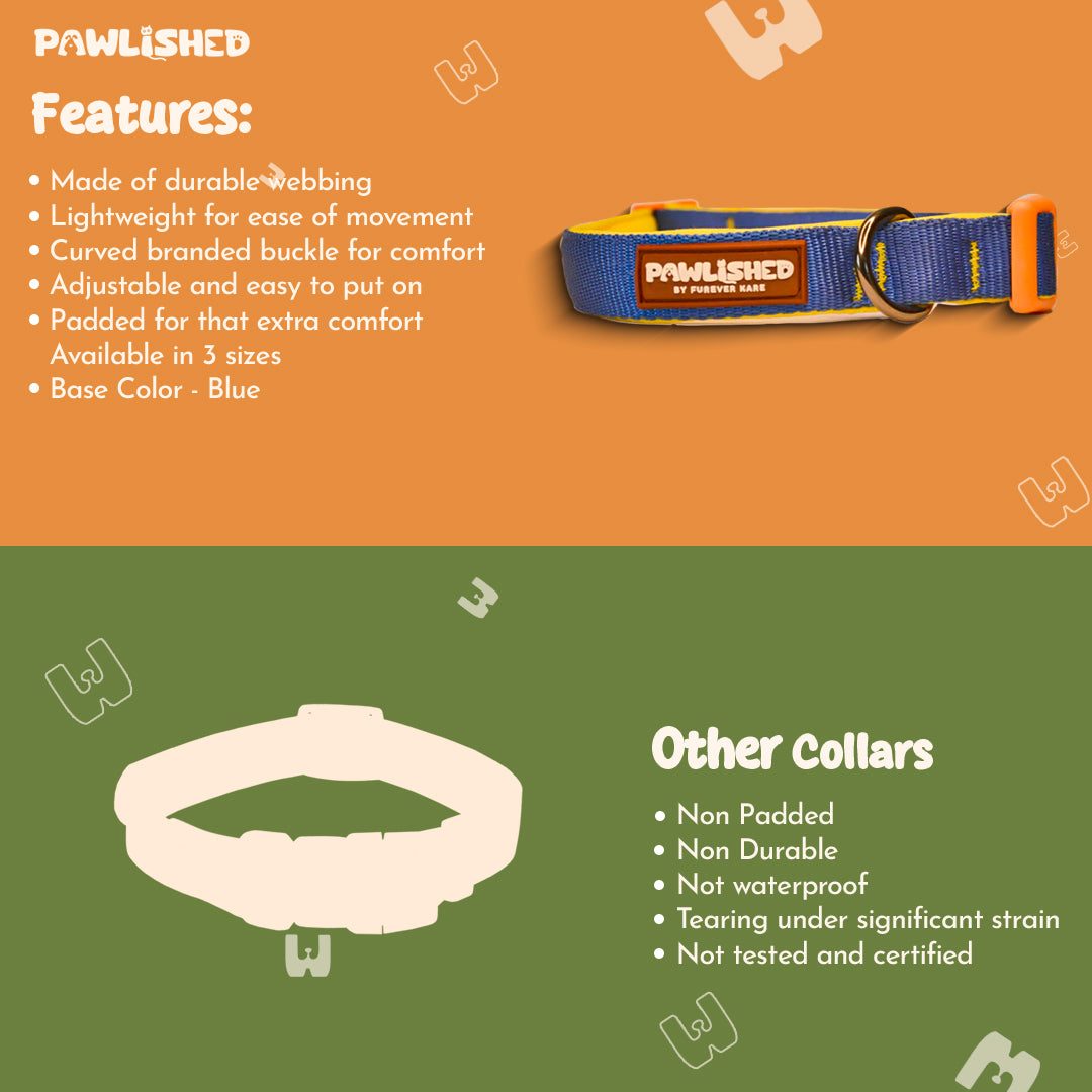 PAWLISHED Pup Straps - Blue Bay Padded Collars