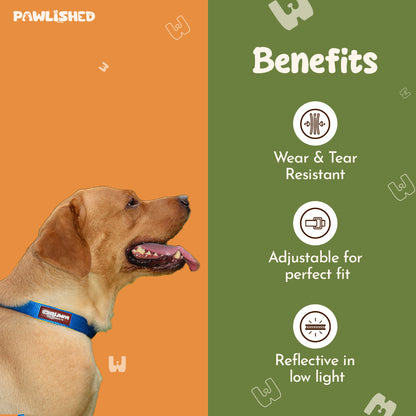 PAWLISHED Pup Straps - Blue Bay Padded Collars