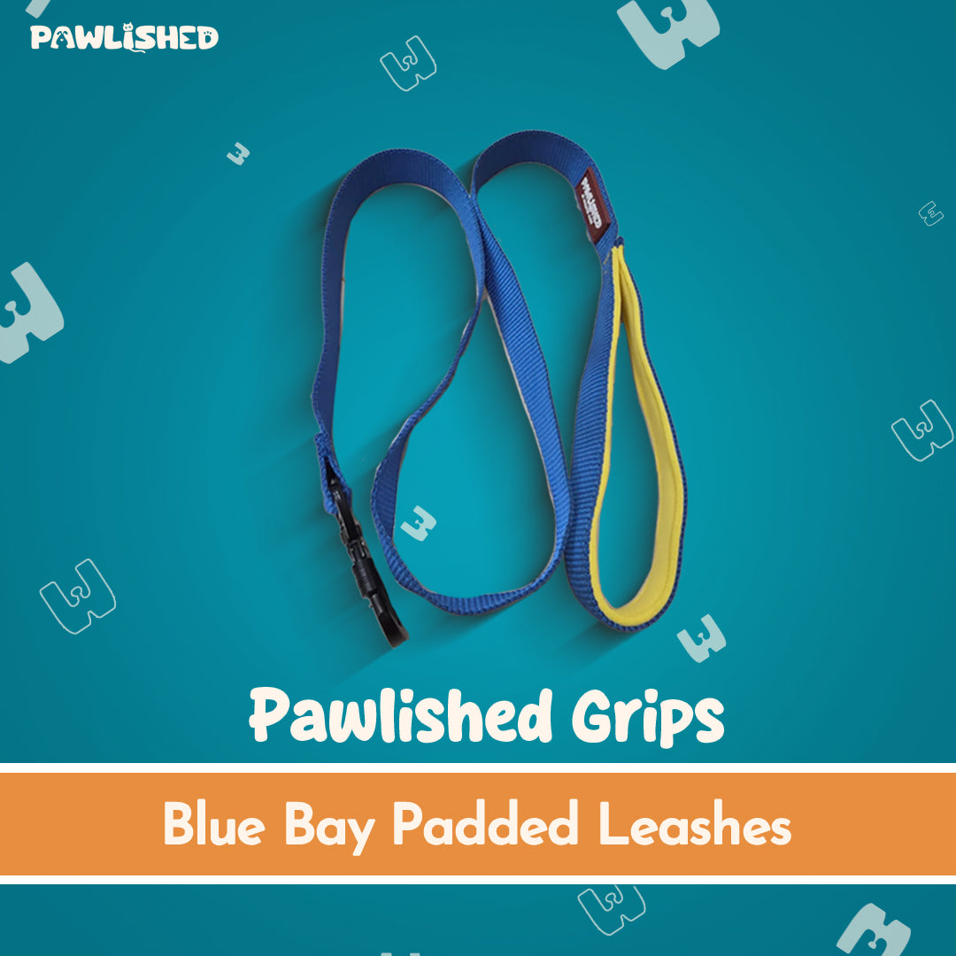 PAWLISHED Grips - Blue Bay Padded Leashes