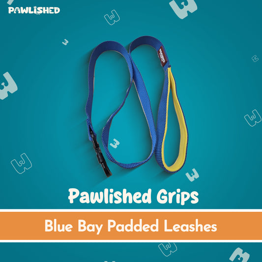 PAWLISHED Grips - Blue Bay Padded Leashes