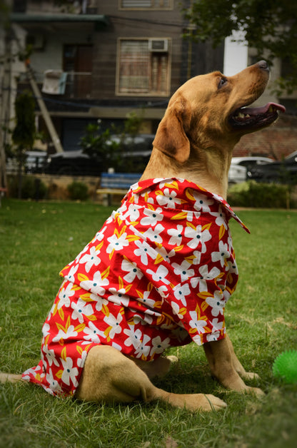 PAWLISHED Cherry Chase Summer Shirts