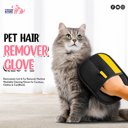 Rakhi Pet Pamper Combo