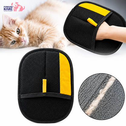 Rakhi Pet Pamper Combo