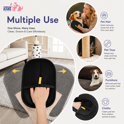 Rakhi Pet Pamper Combo