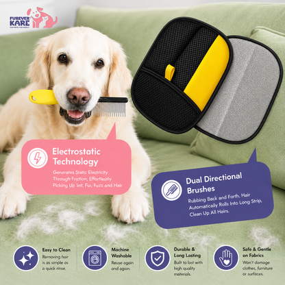 Rakhi Pet Pamper Combo