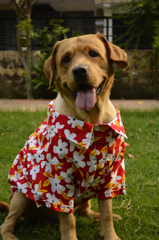 PAWLISHED Cherry Chase Summer Shirts