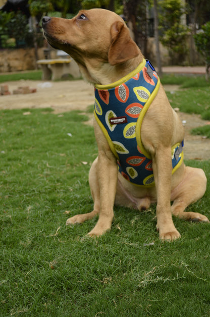 PAWLISHED Embrace - Midnight Maze Padded Harnesses