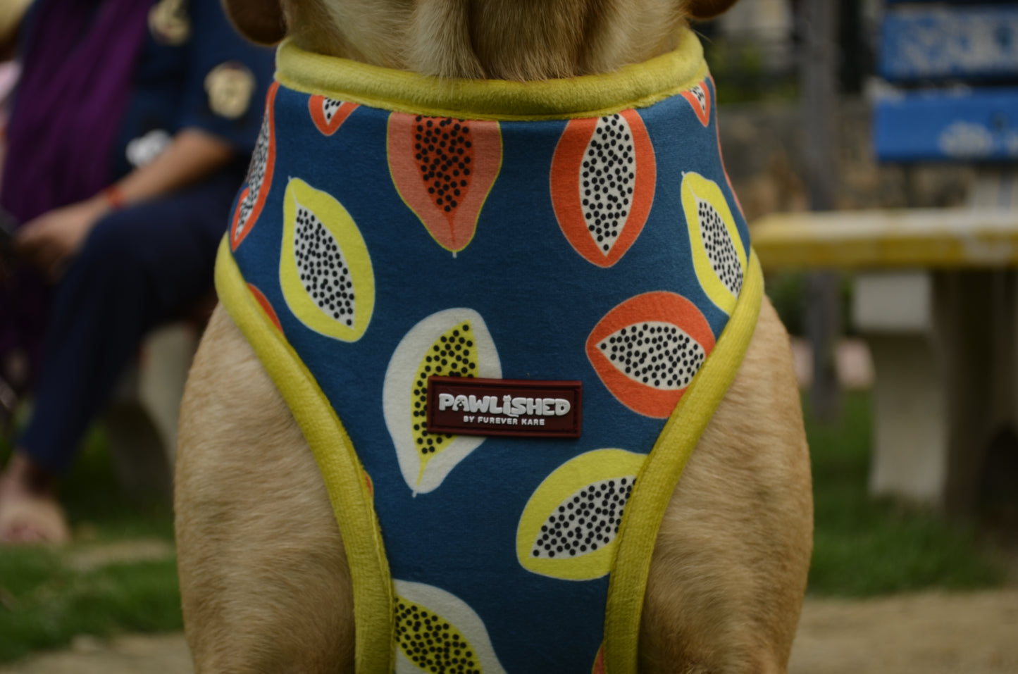 PAWLISHED Embrace - Midnight Maze Padded Harnesses