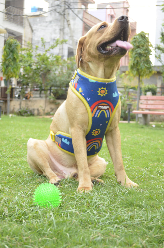 PAWLISHED Embrace - Rainbow Romp Padded Harnesses
