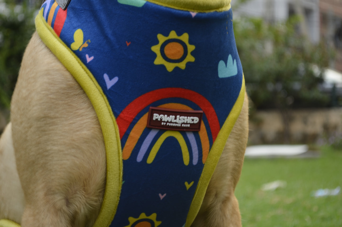 PAWLISHED Embrace - Rainbow Romp Padded Harnesses