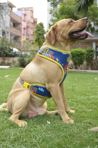 PAWLISHED Embrace - Rainbow Romp Padded Harnesses