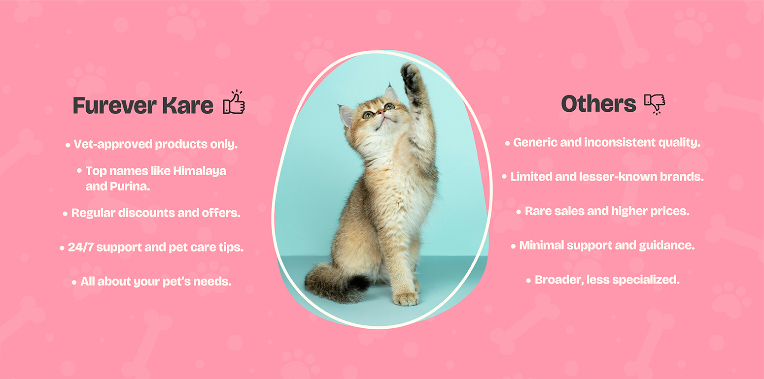 banner image desktop