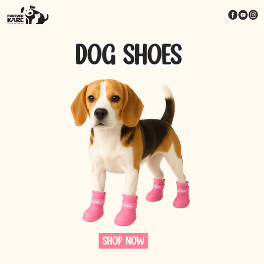Dog Shoes (Pack of 4 pcs)