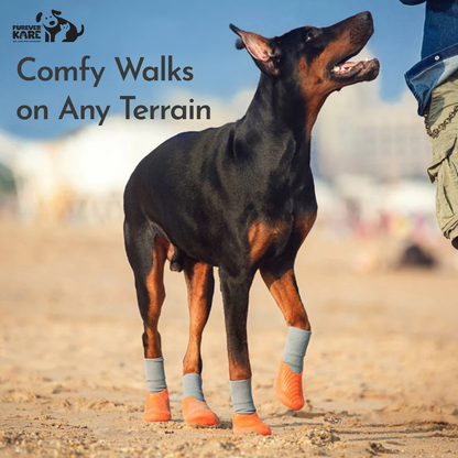 Dog Shoes (Pack of 4 pcs)