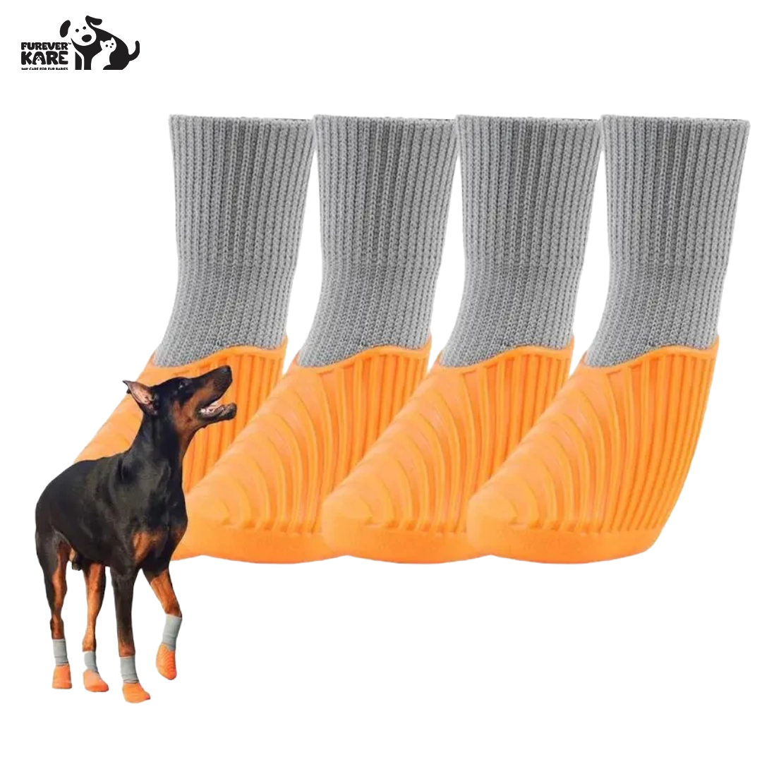 Dog Shoes (Pack of 4 pcs)
