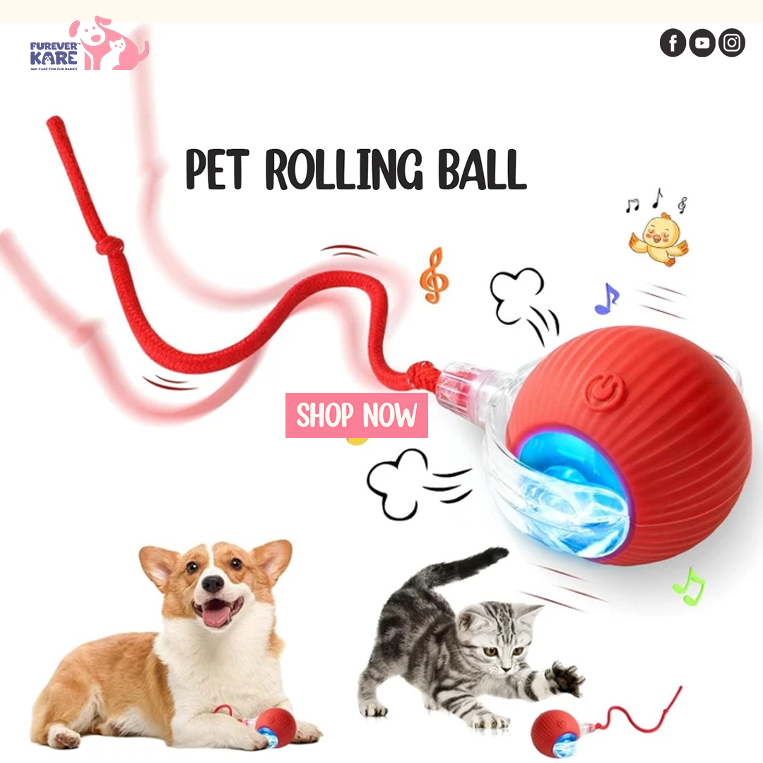 TailNest™ Rolling Fun Ball – Smart Interactive Pet Toy for Dogs & Cats