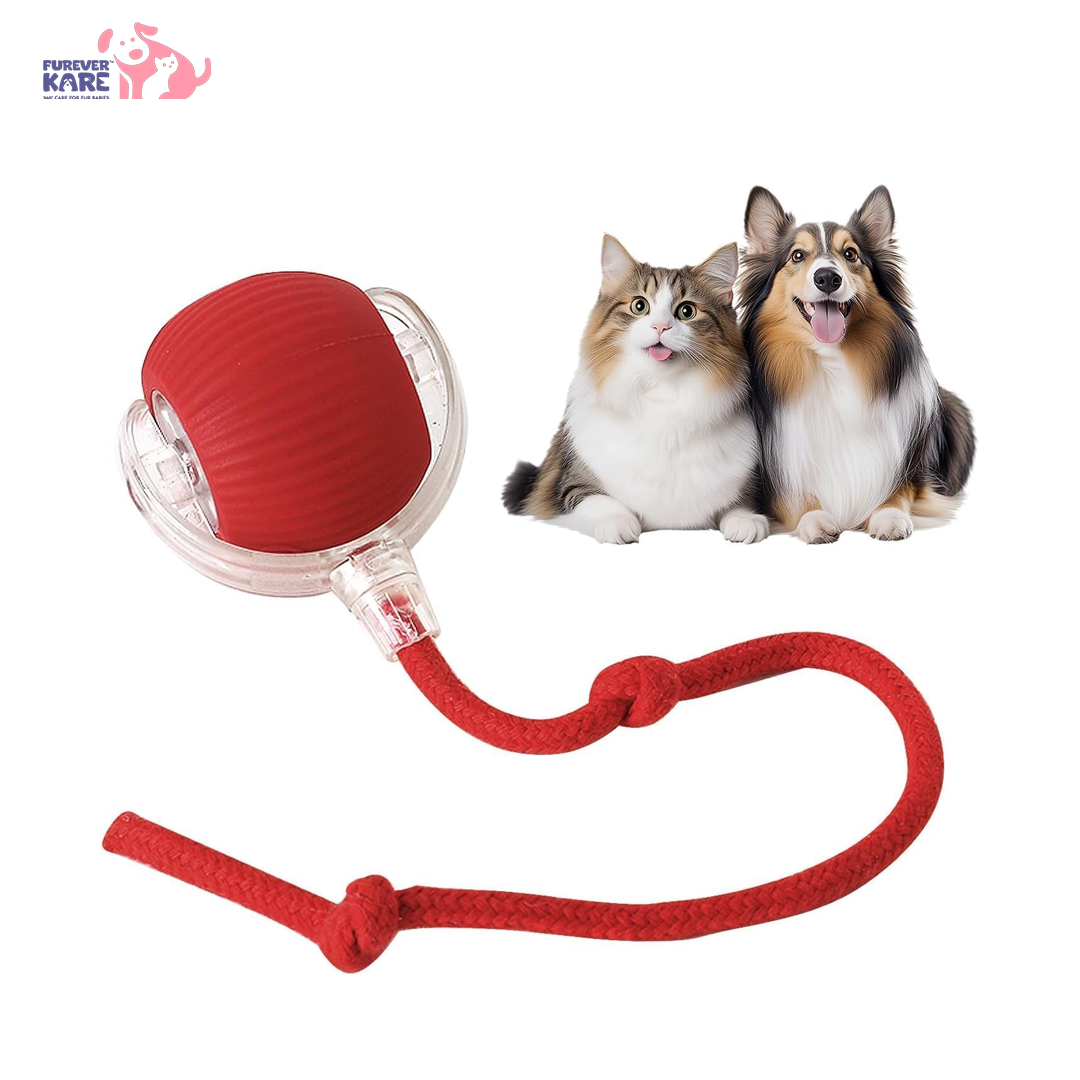 TailNest™ Rolling Fun Ball – Smart Interactive Pet Toy for Dogs & Cats