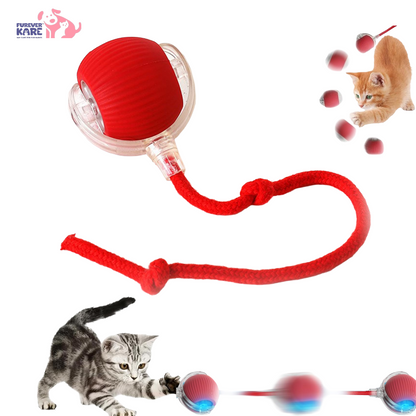 TailNest™ Rolling Fun Ball – Smart Interactive Pet Toy for Dogs & Cats