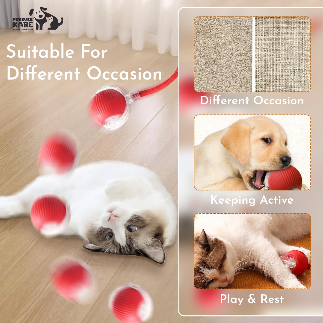 TailNest™ Rolling Fun Ball – Smart Interactive Pet Toy for Dogs & Cats