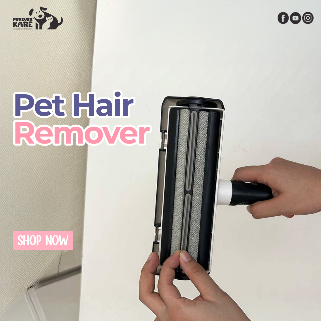 Pet Hair Remover Reusable Lint Remover Roller Brush