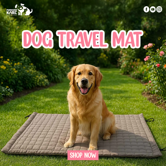 Pawpourri Travel Mat - Sand