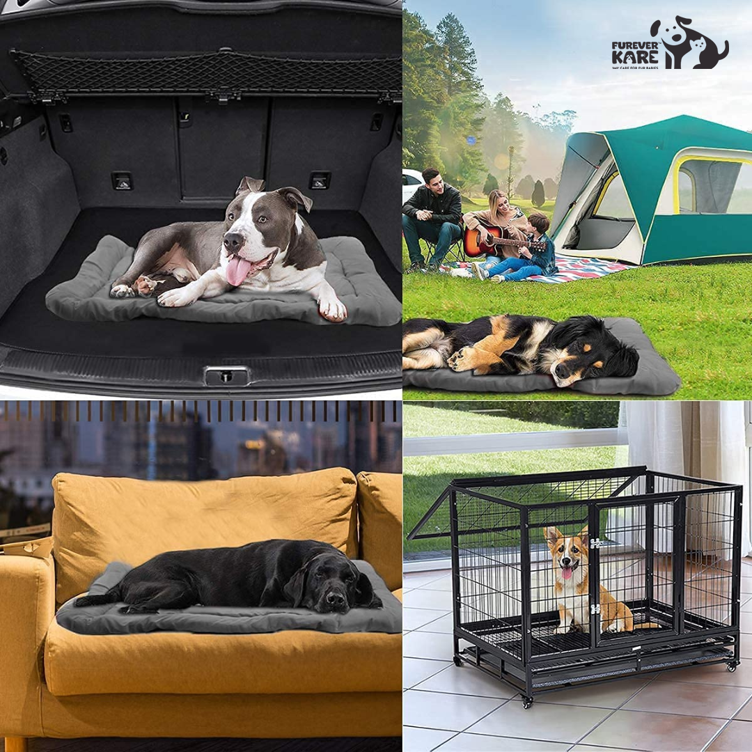 Pawpourri Travel Mat - Sand