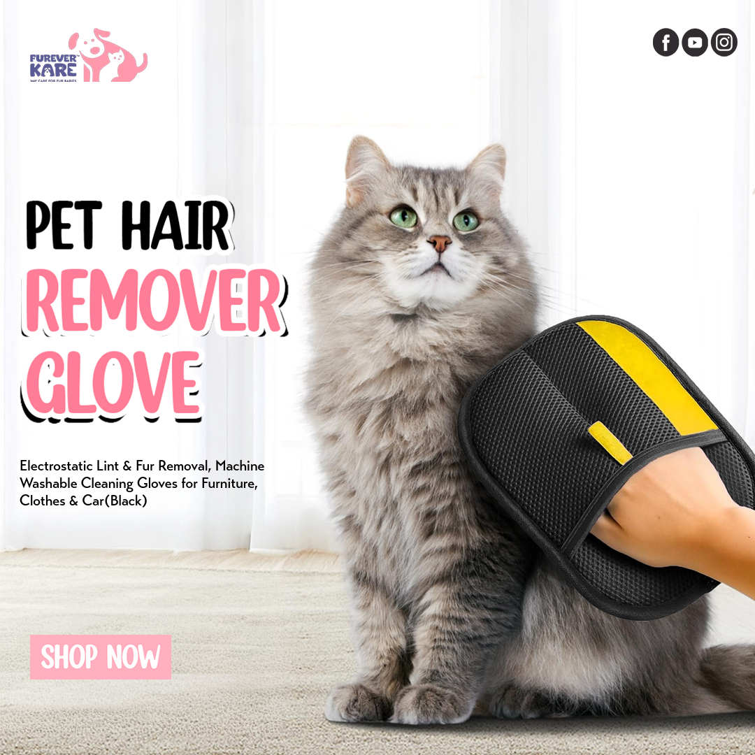 Pet Hair Remover Glove