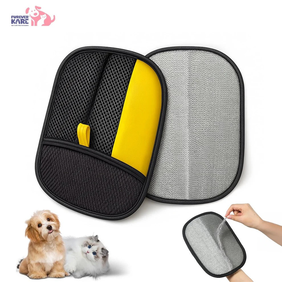 Rakhi Special Pet Care Combo – Complete Grooming Essentials