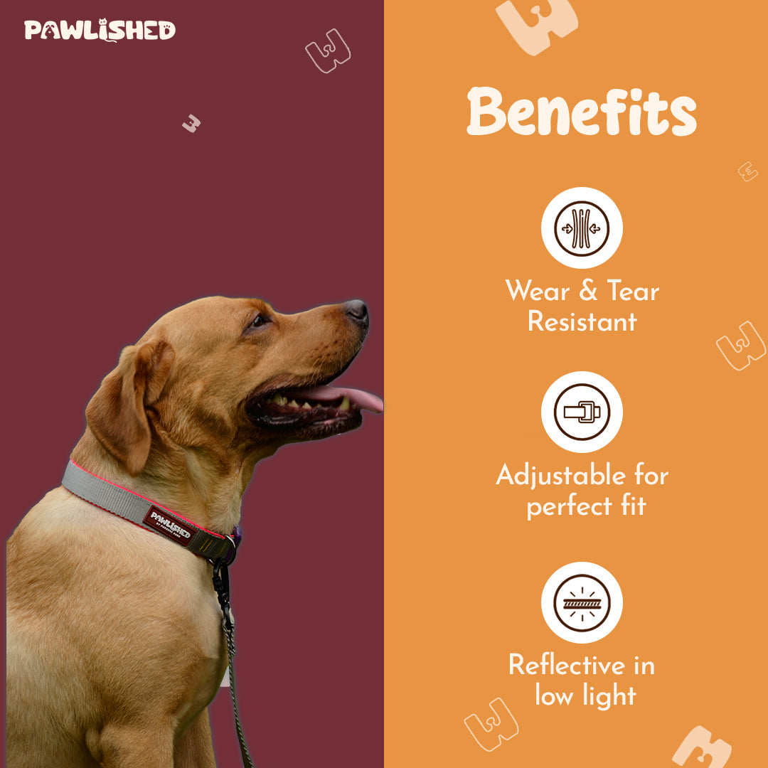 PAWLISHED Pup Straps - Grey Mist Padded Collars