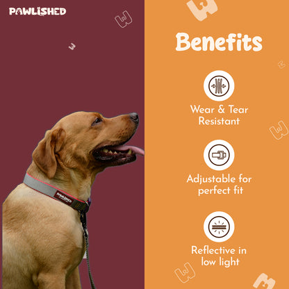 PAWLISHED Pup Straps - Grey Mist Padded Collars