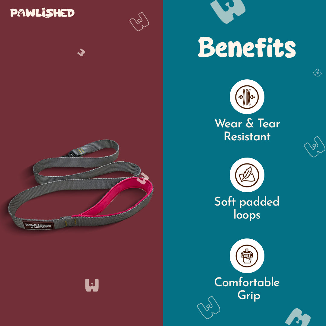 PAWLISHED Grips - Grey Mist Padded Leashes