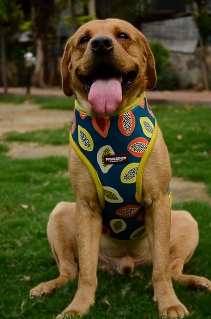 PAWLISHED Embrace - Midnight Maze Padded Harnesses