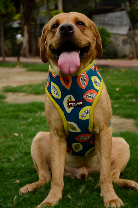 PAWLISHED Embrace - Midnight Maze Padded Harnesses