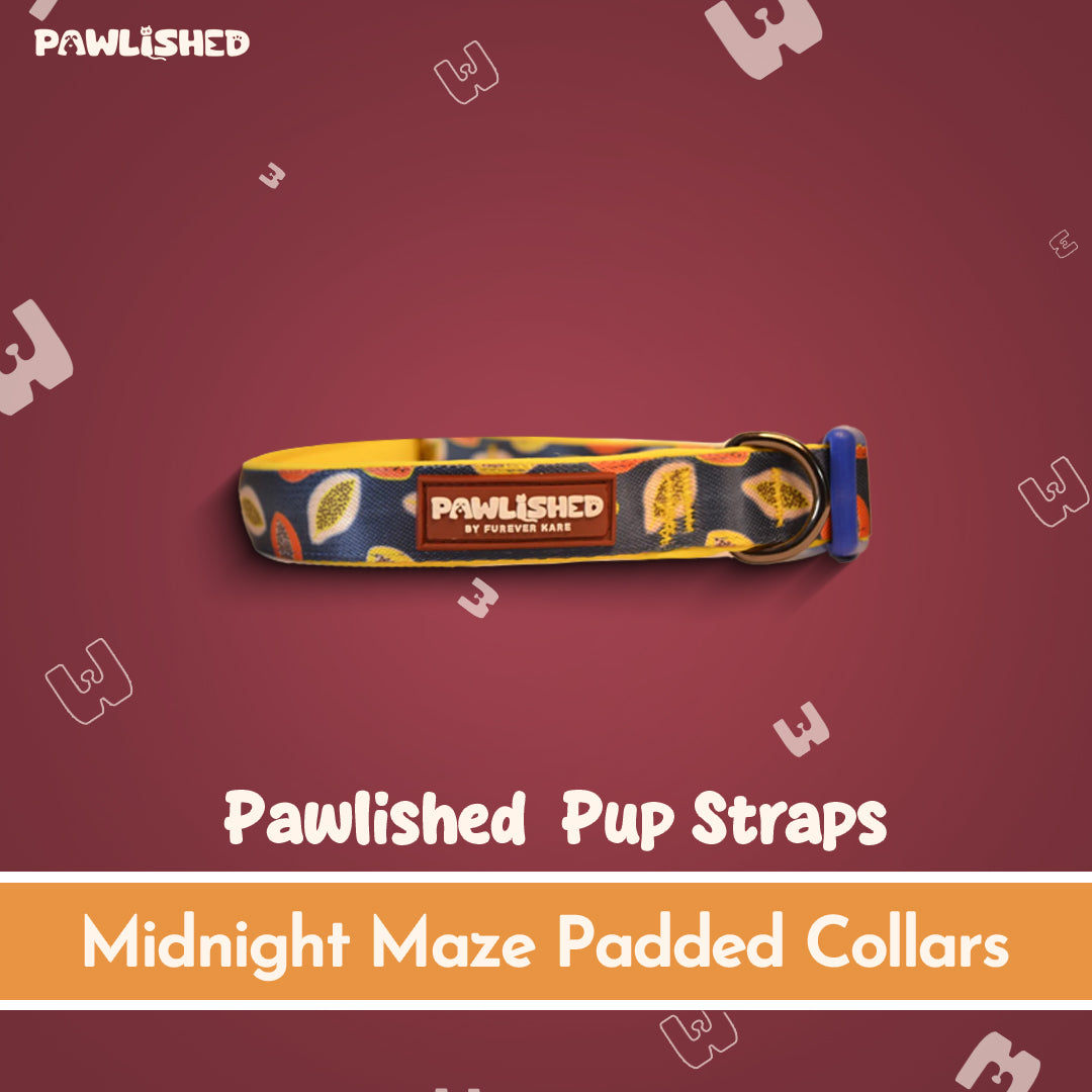 PAWLISHED Pup Straps - Midnight Maze Padded Collars