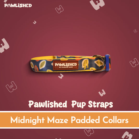 PAWLISHED Pup Straps - Midnight Maze Padded Collars