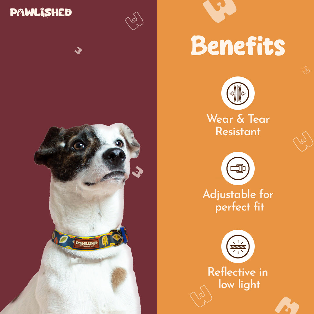 PAWLISHED Pup Straps - Midnight Maze Padded Collars