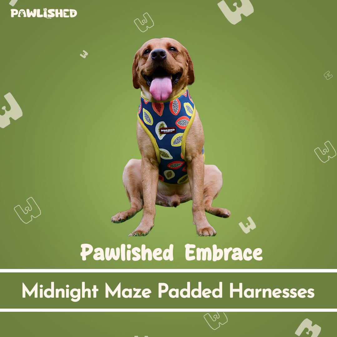 PAWLISHED Embrace - Midnight Maze Padded Harnesses