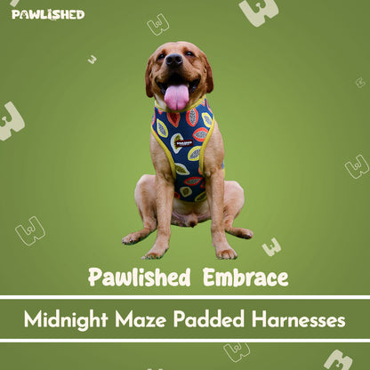 PAWLISHED Embrace - Midnight Maze Padded Harnesses